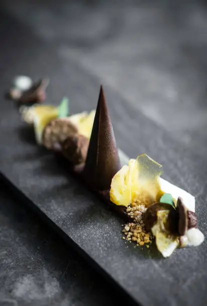 Photo of gourmet modern creative chocolate cake and dried fruit dessert dish on slate