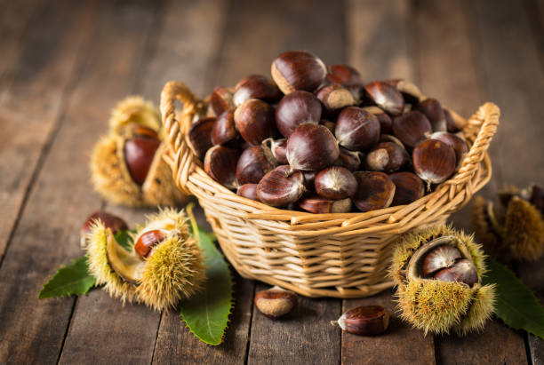 Fresh chestnuts in the basket stock photo