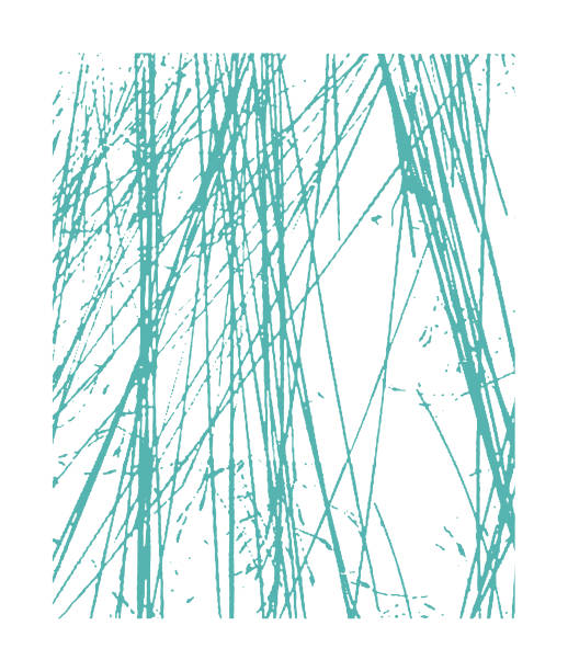 130+ Csa Archive Texture Stock Illustrations, RoyaltyFree Vector