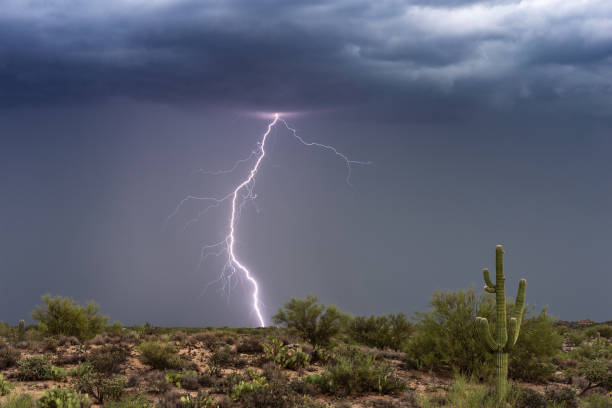 lightning bolt strikes in the arizona desert during a monsoon thunderstorm. - monsoon imagens e fotografias de stock