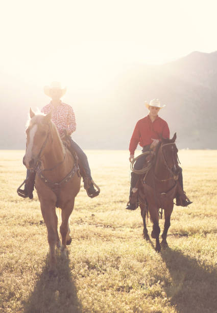 istock Cowboys Horseback Riding at sunrise 1003648668