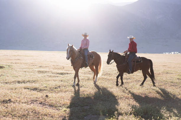 istock Cowboys Horseback Riding at sunrise 1003648674
