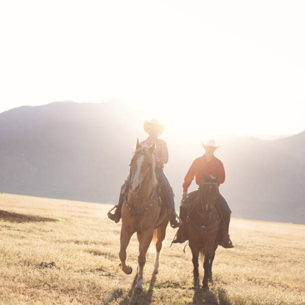 istock Cowboys Horseback Riding at sunrise 1003648752