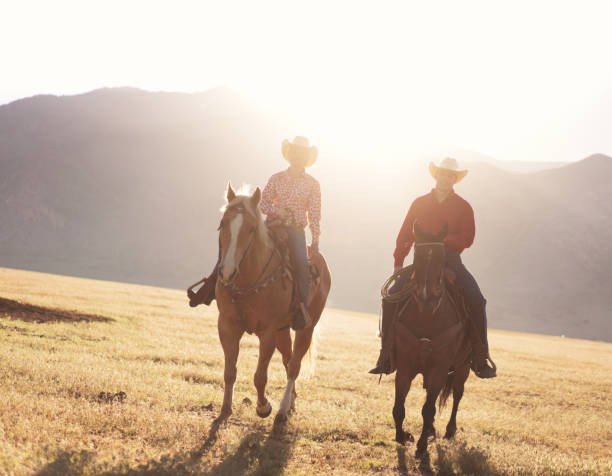 istock Cowboys Horseback Riding at sunrise 1003648844