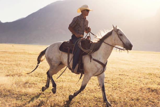 istock Cowboys Horseback Riding at sunrise 1003649048