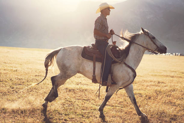 istock Cowboys Horseback Riding at sunrise 1003649132