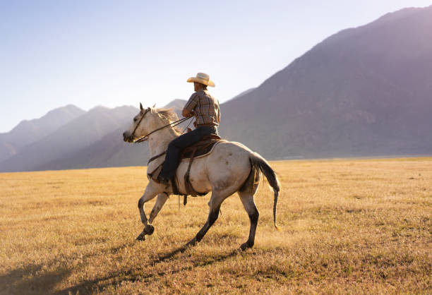 istock Cowboys Horseback Riding at sunrise 1003649142