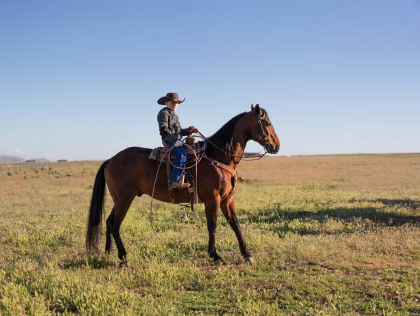 istock Little cowboy riding a horse 1003649260