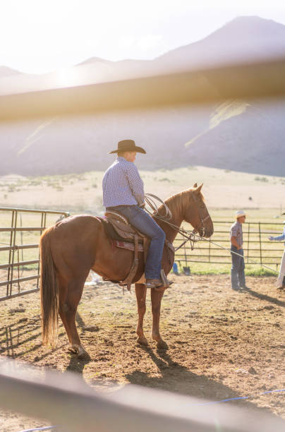istock Roping cattle for branding in UTAh - USA 1003649340