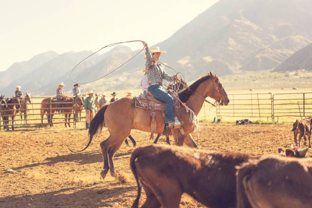 istock Roping cattle for branding in Utah - USA 1003651730