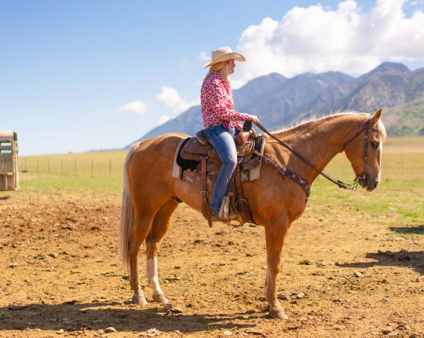 istock Cowgirl Horseback Riding 1003652696