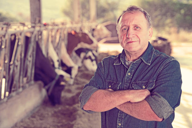 istock Successful male farmer in cowshed 1003652798