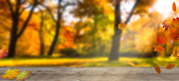 istock wooden board in idyllic landscape 1003664562