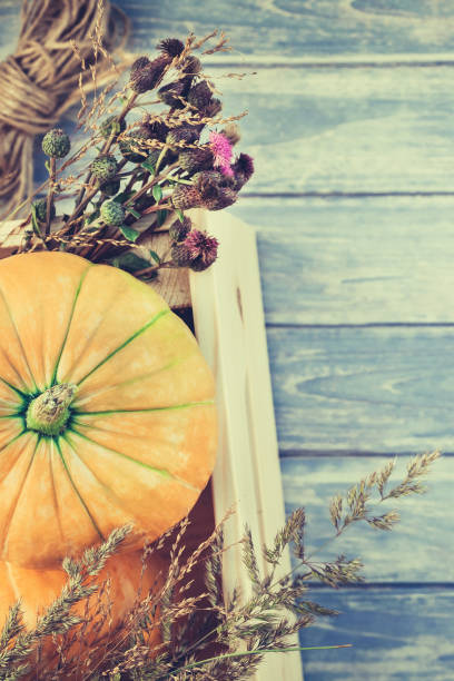 istock Autumn pumpkins and dry flowers flat lay 1003675730