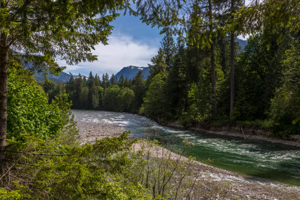 istock Images of Washington State 1003697494