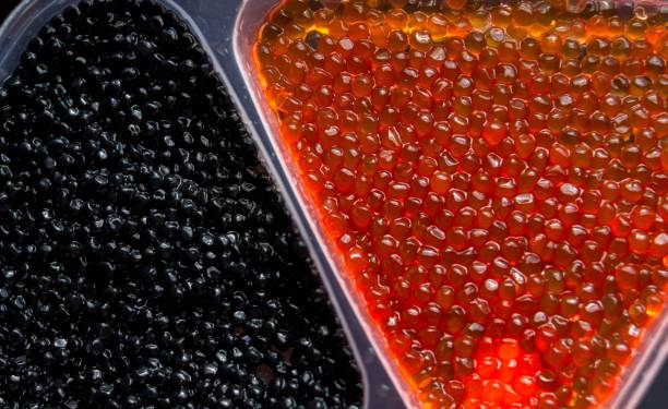 istock red and black caviar of sturgeon. 1003739102