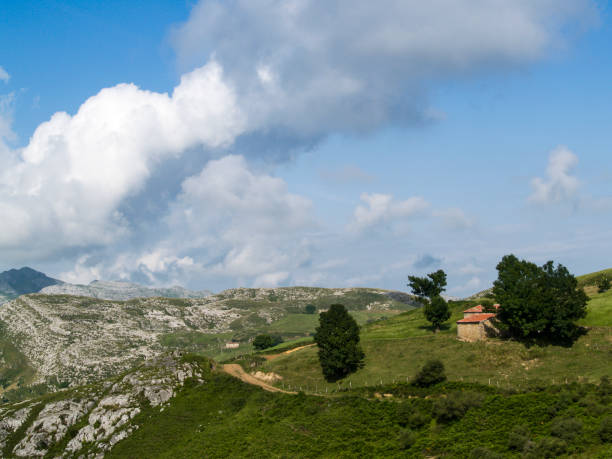 istock Country road on top of a mountain 1003739780