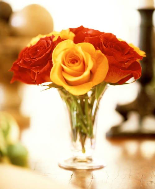 Roses Yellow and red roses in vase enviting stock pictures, royalty-free photos & images