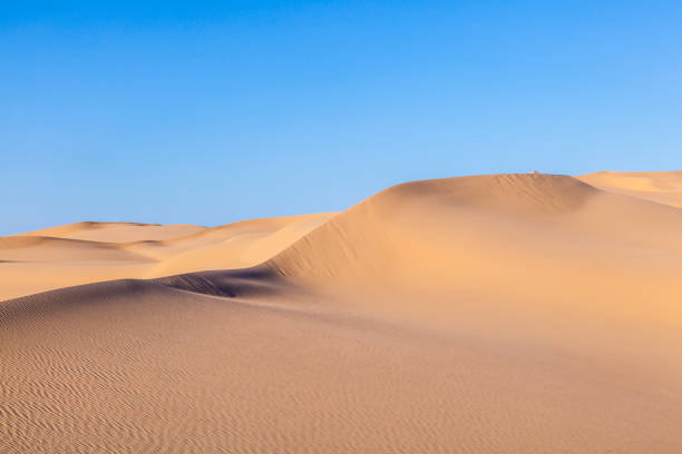 istock sand dune in sunrise in the sonoran desert 1003750634