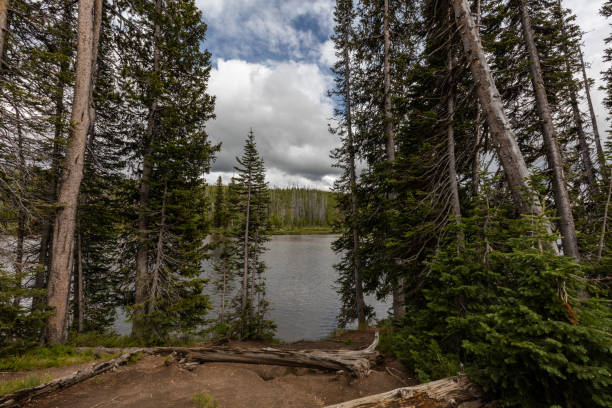 istock Images of Yellowstone 1003751952
