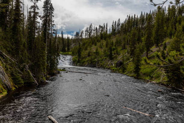 istock Images of Yellowstone 1003752018