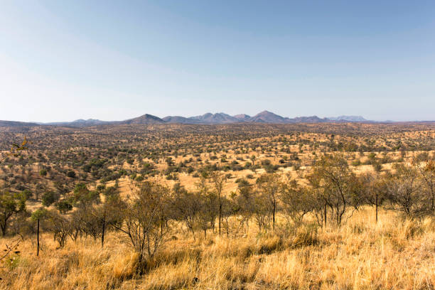 istock Rural area landscape near Windhoek in Namibia 1003752062