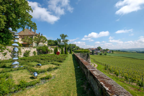 10+ Vullierens Stock Photos, Pictures & RoyaltyFree Images iStock