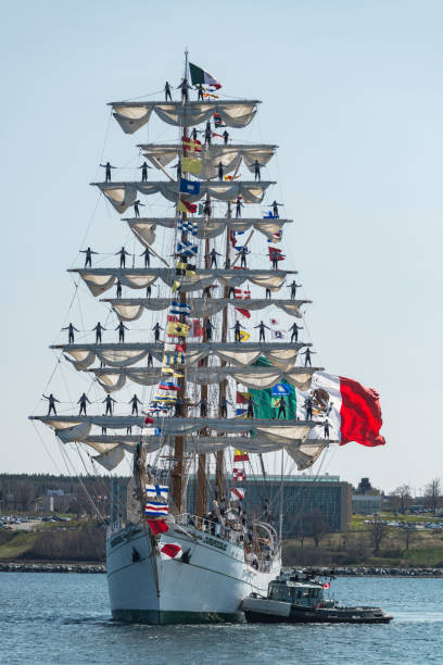 gran velero arm cuauhtémoc - halifax tall ship sailor sailboat fotografías e imágenes de stock