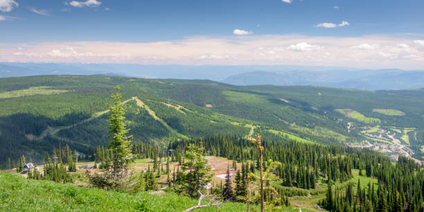 istock Canada sun peak resort  from top mountain at summer 1003768198