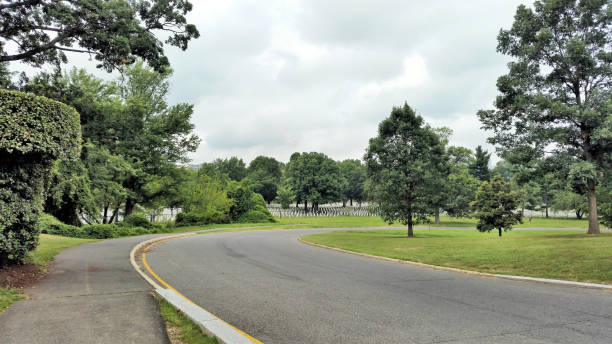 istock A view of Arlington Cemetery 1003768352