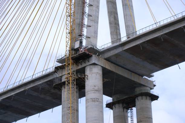 istock Phelippe Daou Journalist Bridge - Manaus-Iranduba Bridge 1003782804
