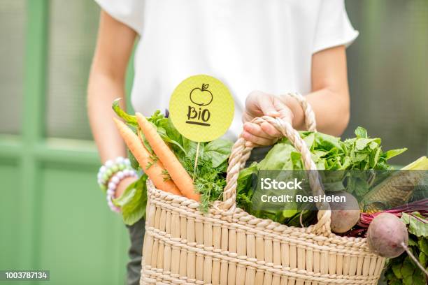 Bag With Fresh Vegetables Stock Photo - Download Image Now - Organic, Biology, Food