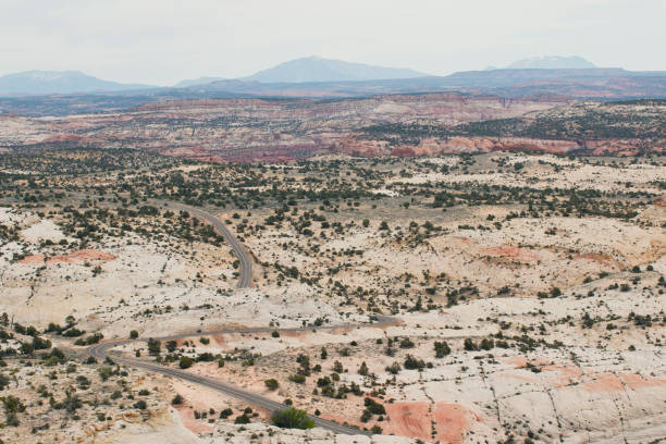 istock Lone road in the desert 1003787538