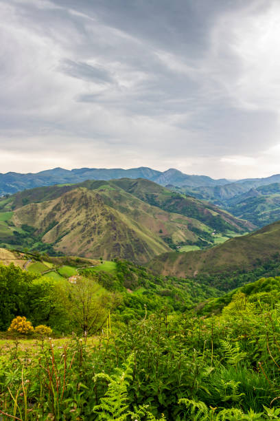 French Pyrenees Mountains overcast view in May Scenic French Napoleon Route Pyrenees Mountains overcast view in May, Pyrenees Mountains France saint jean pied de port stock pictures, royalty-free photos & images