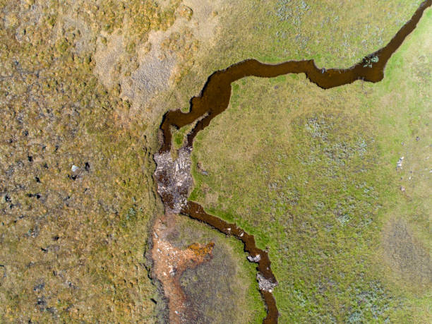istock Remote located river in the great wilderness seen from above 1003810312