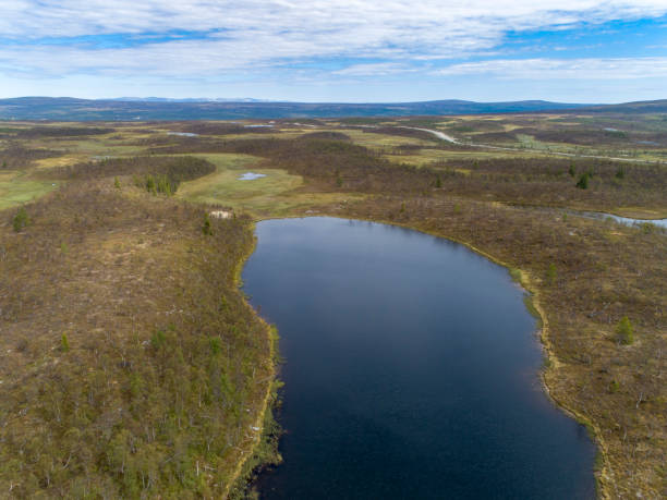 istock Green forest landscape with lakes and rivers 1003812414