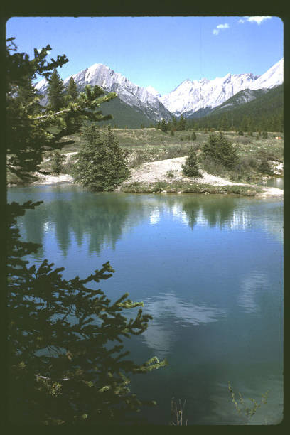 istock Wildlife, parks, scenery, Canada, 1003813386
