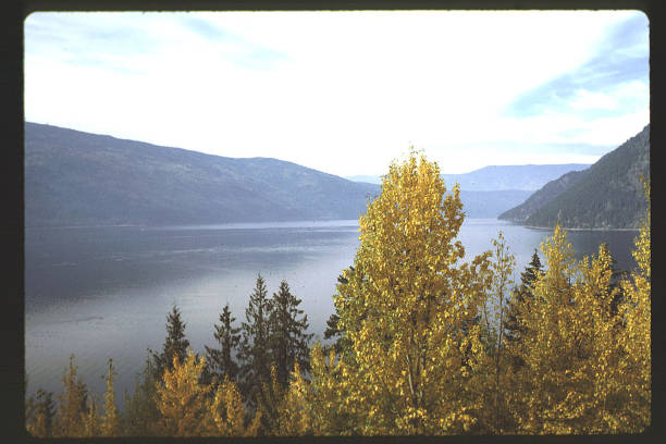 istock Wildlife, parks, scenery, Canada, 1003813550