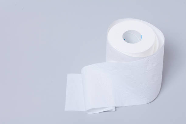 istock Toilet paper roll isolated on gray background 1003832854