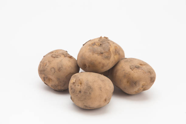 istock Group of raw potatoes on white 1003861094