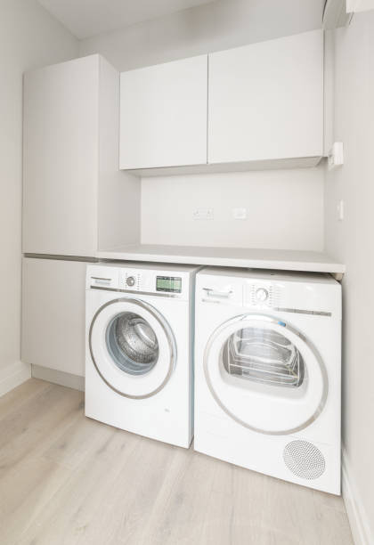 istock Laundry room with a washing machine and a dryer 1003864270