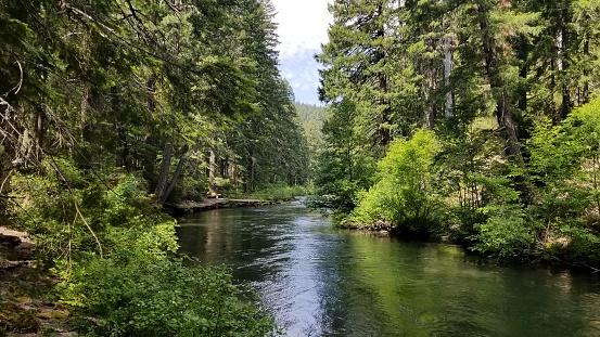 Rogue river in the forest near Crater Lake in Oregon
