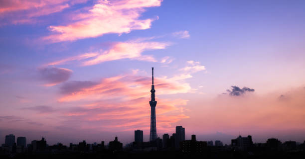 istock View of Sumida River with Tokyo Skytree at twilight 1003899026