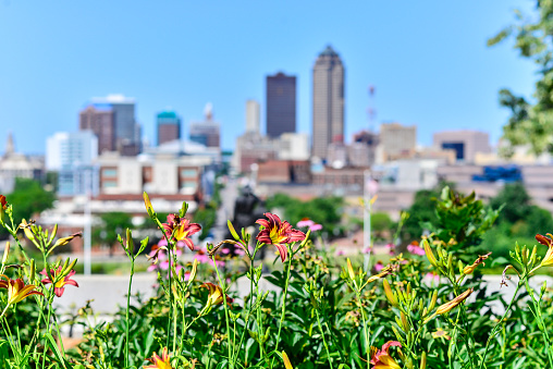 Urban Garden with Flowers and Des Moines Skyline out of focus in background