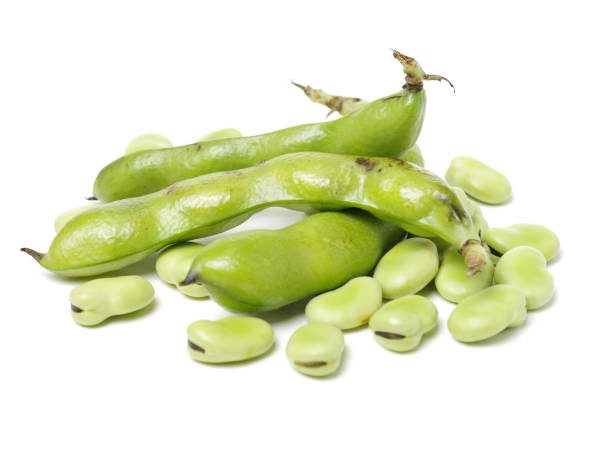 istock Soybeans  or broad bean isolated on white background 1003906820