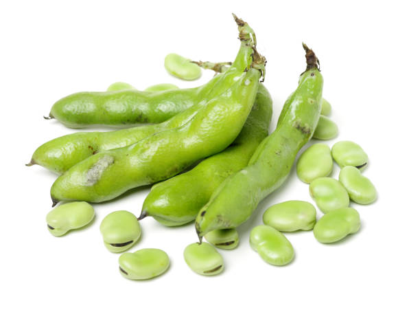 istock Soybeans  or broad bean isolated on white background 1003906836