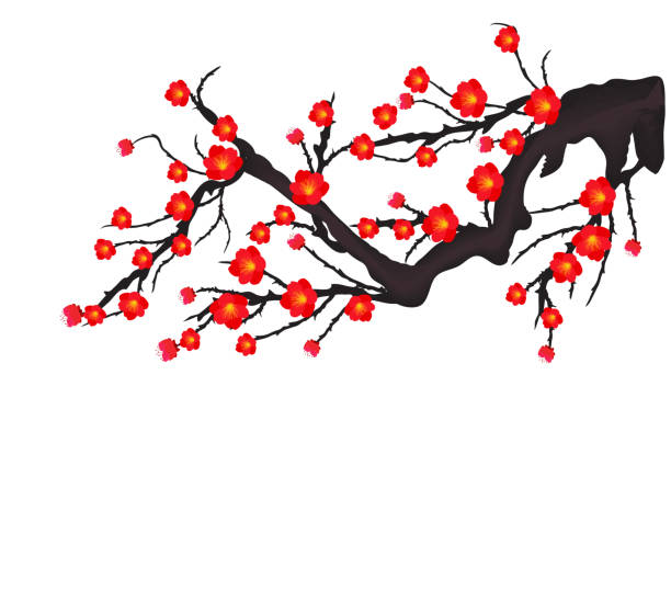 istock Vector Cherry blossom for Chinese New Year and mid autumn festival 1003910056