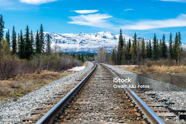 Spoorweg Track En Bergketen Stockfoto en meer beelden van Denali National Park - Denali National Park, Verenigde Staten, Toerisme