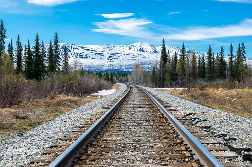 Part of Alaska railroad in the forest of Denali National Park with a mountain range in background.