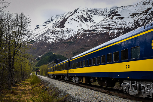 Train in motion through the Chugach National Forest near Portage, Alaska